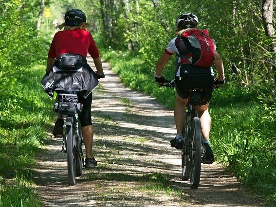 Zwei Radfahrer auf einem Waldweg, umgeben von gr&uuml;nen B&auml;umen und Str&auml;uchern.