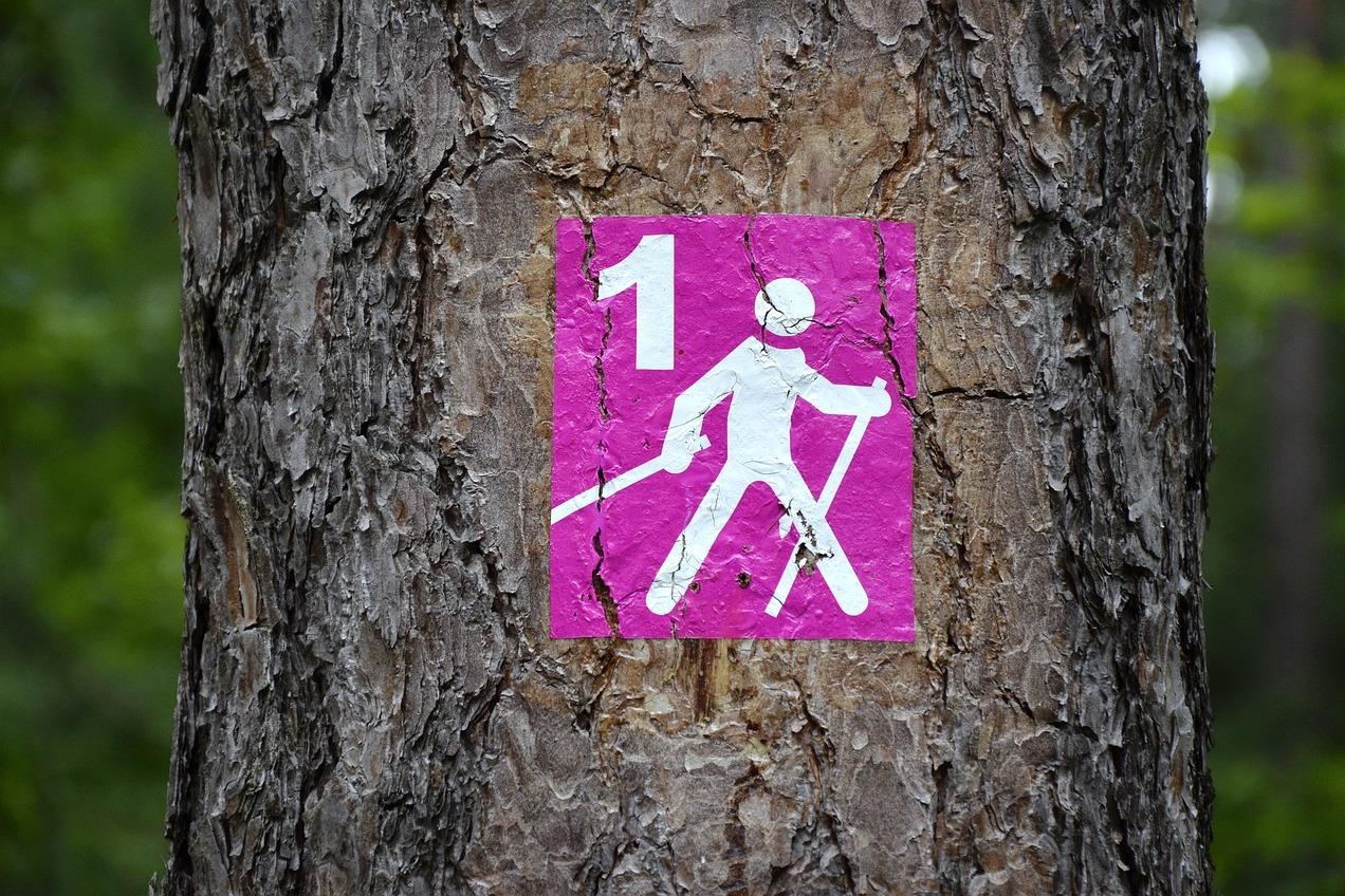 Wanderwegschild mit der Nummer „1“ und Abbildung einer wandernden Person auf einem Baumstamm.