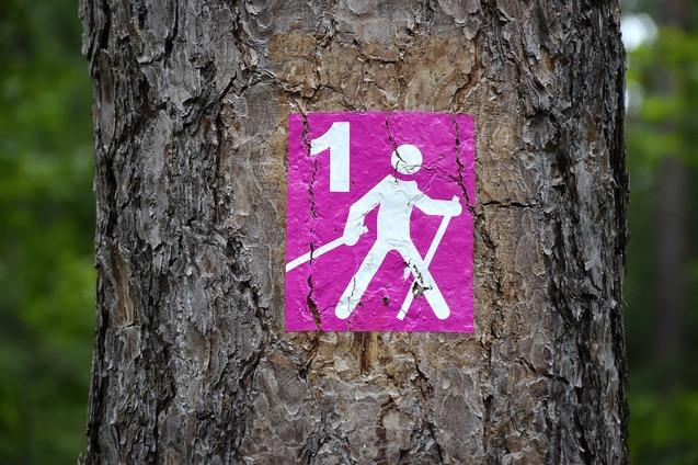 Wanderwegschild mit der Nummer &bdquo;1&ldquo; und Abbildung einer wandernden Person auf einem Baumstamm.